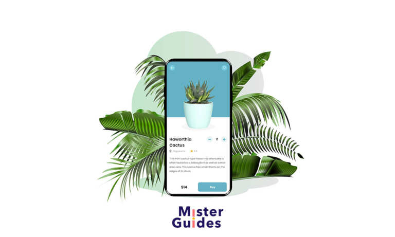 10 consejos para comprar plantas online con el móvil 19